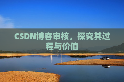 CSDN博客审核,探究其过程与价值