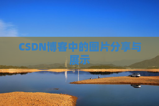 CSDN博客中的图片分享与展示